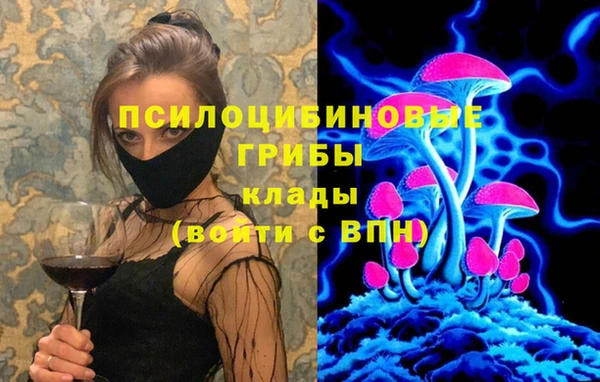 дживик Бронницы