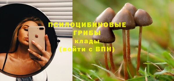 2c-b Покров