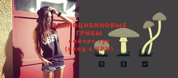 спайс Покачи