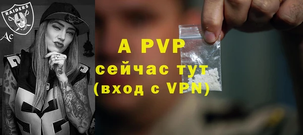 спайс Покачи