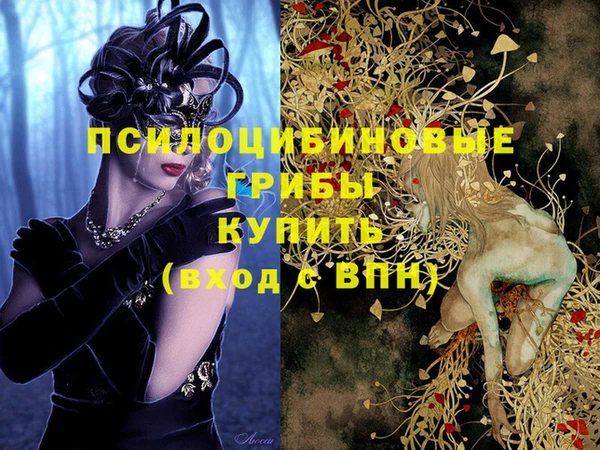 спайс Покачи
