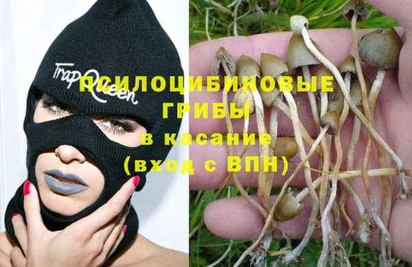 дурь Покровск