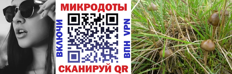 цена   Ноябрьск  Псилоцибиновые грибы ЛСД 