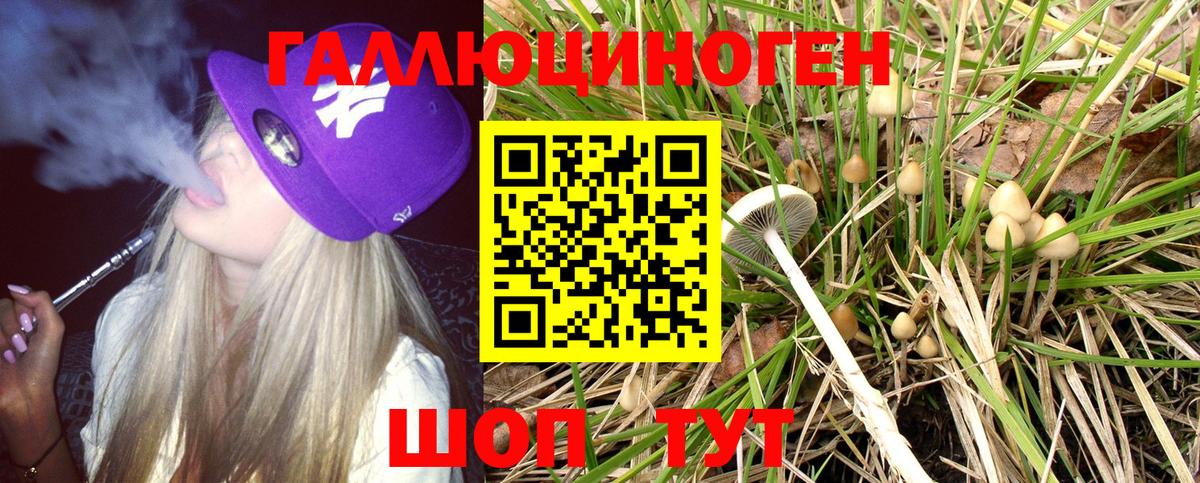 Псилоцибиновые грибы Psilocybine cubensis  Вход с VPN  Галлюциногенные грибы MAGIC MUSHROOMS  Ноябрьск 