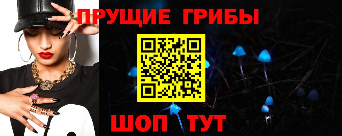 Галлюциногенные грибы Psilocybine cubensis Ноябрьск